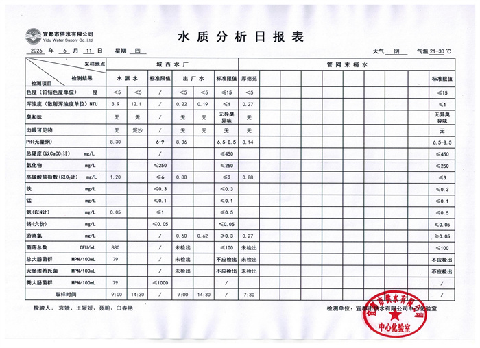 6.11.jpg